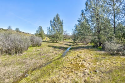 /international/us/13012-highway-124-ione-ca-110101904949/