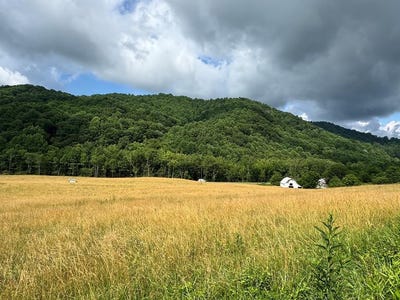 /international/us/tbd-troutdale-hwy-mouth-of-wilson-va-110100751143/