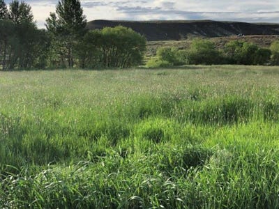 /international/us/3730-bully-creek-rd-westfall-or-110096594172/