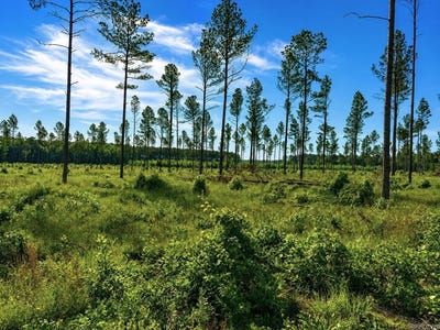 /international/us/grant-county-road-9-b-sheridan-ar-110105783392/