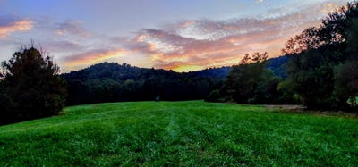 /international/us/7179-st-joe-road-campbellsville-ky-110081771080/