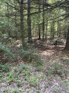 /international/us/cricket-hill-road-lot-35-hawley-pa-110120530105/