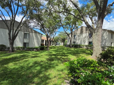 /international/us/1700-pine-ridge-way-e-palm-harbor-fl-110110048680/