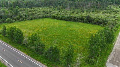 /international/us/townline-road-forbes-mn-110109193485/
