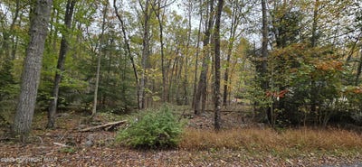 /international/us/a465-redwood-drive-jim-thorpe-pa-110102858550/