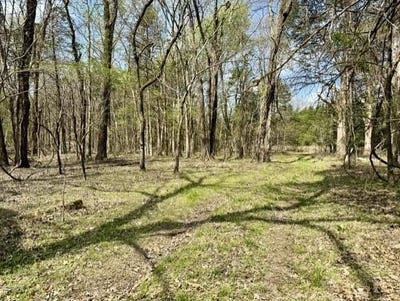 /international/us/milligan-campground-road-strawberry-ar-110107080939/
