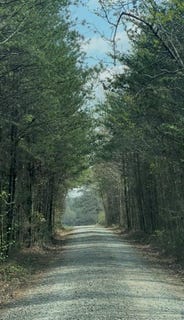 /international/us/19-6ac-link-puryear-road-south-boston-va-110106343028/