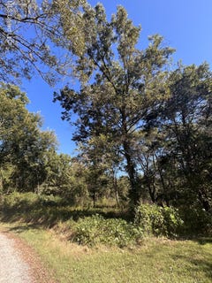 /international/us/betty-walton-road-como-ms-110102683957/