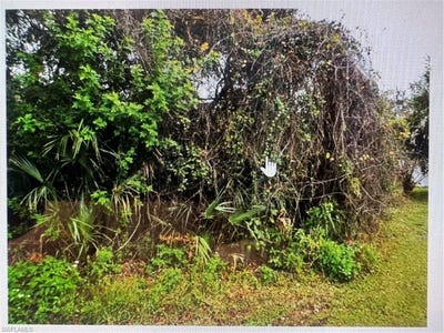 /international/us/cunliffe-rd-lot-14-north-port-fl-110096850008/