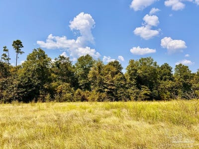 /international/us/morgans-branch-lot-27-molino-fl-110102658890/