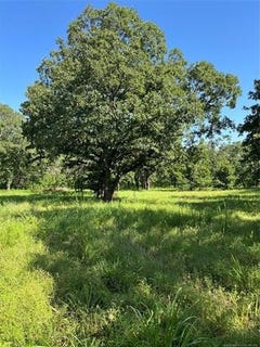 /international/us/county-road-2561-pawhuska-ok-110101101069/?lang=es
