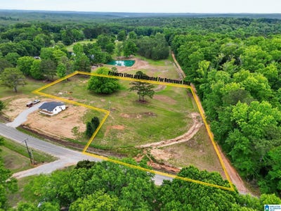 /international/us/county-road-491-lot-1-clanton-al-110108027401/