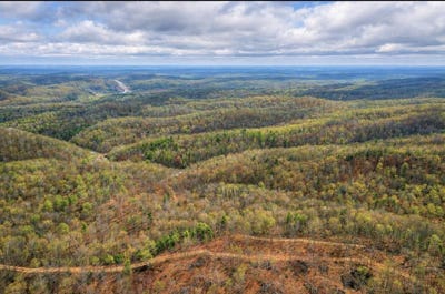 /international/us/camp-branch-road-hazel-green-ky-110106070036/