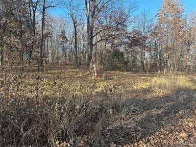 /international/us/35-wagon-creek-loop-creal-springs-il-110098965189/
