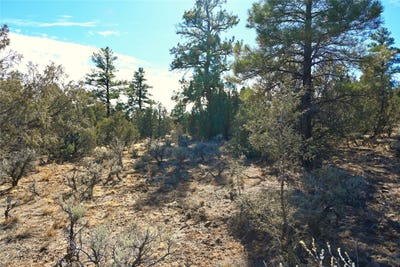 /international/us/00-venado-dr-cr-322-tierra-amarilla-nm-110097352598/