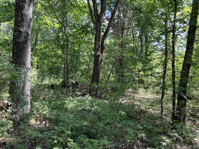 /international/us/5-49-acres-on-meadow-creek-drive-harrison-ar-110085576060/?lang=zh-cn