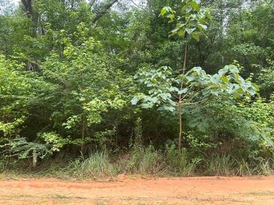 /international/us/alma-street-lumberton-ms-110109004751/