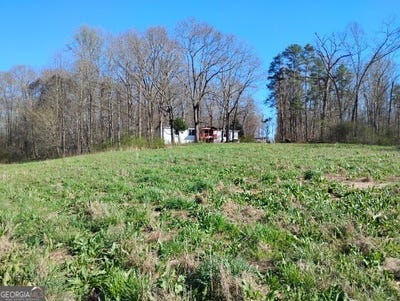 /international/us/2331-kesler-road-carnesville-ga-110106275133/