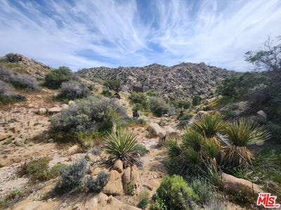 /international/us/20-w-omega-trl-yucca-valley-ca-110085803614/