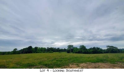 /international/us/pleasant-view-rd-lot-4-brighton-mo-110108240262/