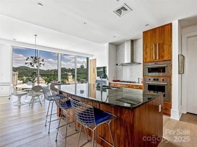 /international/us/7-patton-avenue-asheville-nc-110100380088/