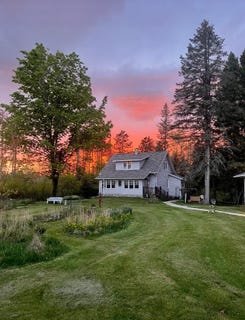 /international/us/w3552-porky-ln-lily-wi-110106849102/