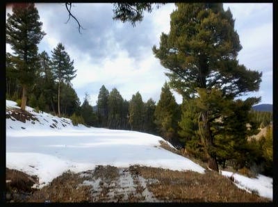 /international/us/copper-cross-3969-moffet-gulch-rd-divide-mt-110094608402/