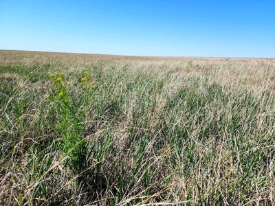 /international/us/0-county-road-n-eads-co-110096311261/