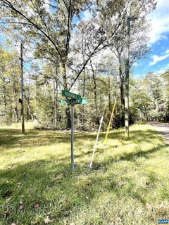 /international/us/riverdale-rd-stanardsville-va-110103053795/