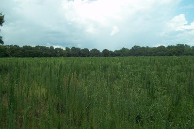 /international/us/grimsley-mill-road-blakely-ga-110101139176/?lang=zh-cn