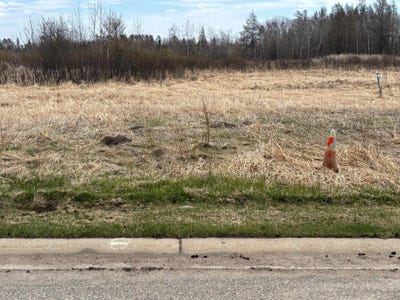 /international/us/irvine-avenue-nw-lot-8-bemidji-mn-110106058101/