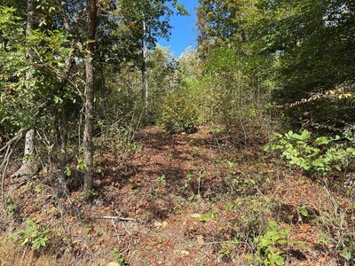 /international/us/indian-creek-road-hillsboro-ky-110102780711/
