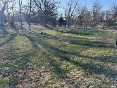 /international/us/lakeside-drive-lot-10-taylorville-il-110106448455/