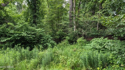 /international/us/320-sylvan-dell-park-road-s-williamsport-pa-110098345191/?lang=zh-tw