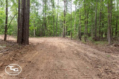 /international/us/tbd-m-l-king-hwy-eutaw-al-110107537918/