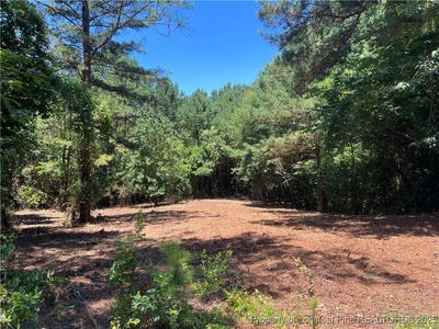 /international/us/521-dashland-drive-fayetteville-nc-110100397039/