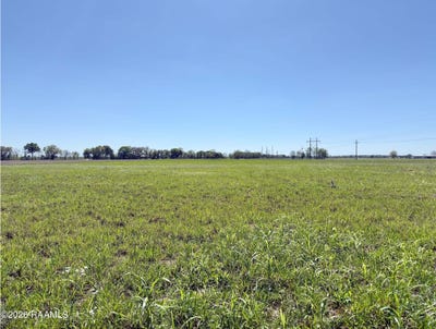 /international/us/3707-ridge-road-lot-3-rayne-la-110120762061/
