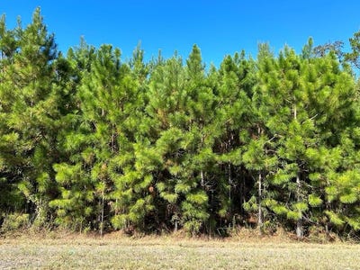 /international/us/4-588-ac-lot-7-d-hodge-rd-cottonwood-al-110095109871/?lang=fr