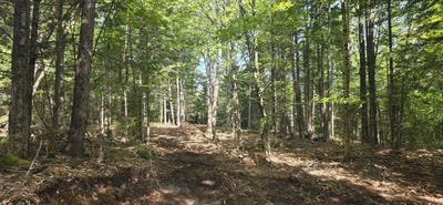 /international/us/18a-concord-pond-road-woodstock-me-110119652792/