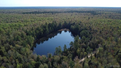 /international/us/on-wolf-lake-road-newberry-mi-110108380449/