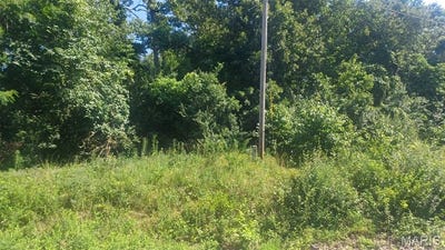 /international/us/lot-60-cheyenne-lane-perryville-mo-110100980143/?lang=zh-cn