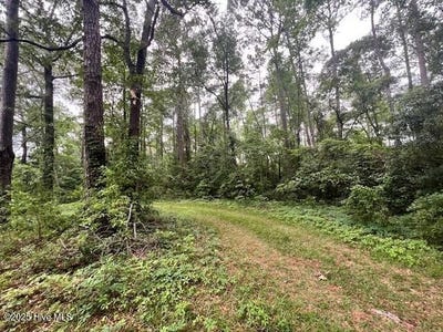 /international/us/lot-1b-117-highway-off-nc-rocky-point-nc-110100053890/?lang=zh-tw