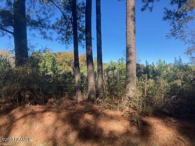 /international/us/landry-lane-lot-see-survey-eunice-la-110105414522/