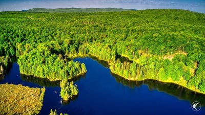 /international/us/33-twin-ponds-preserve-malone-ny-110079371505/