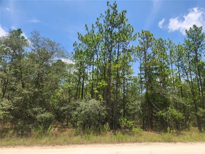 /international/us/sw-76-lane-dunnellon-fl-110100922095/?lang=en