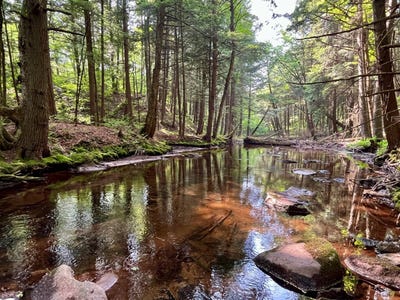 /international/us/wp0-benton-hollow-rd-livingston-manor-ny-110100351339/?lang=zh-tw