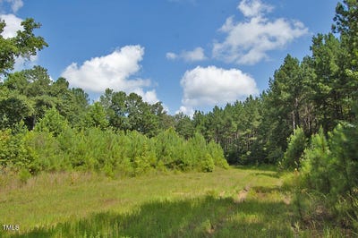 /international/us/0-buckhorn-road-bullock-nc-110101188802/