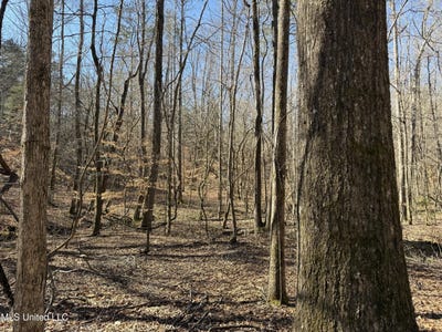 /international/us/county-road-186-coffeeville-ms-110105983583/