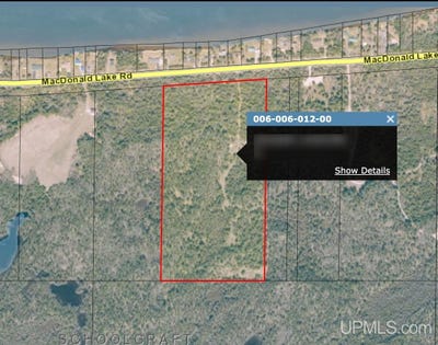 /international/us/28-95-acre-county-road-432-gulliver-mi-110101117114/?lang=zh-tw