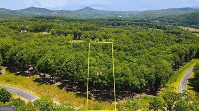 /international/us/ridge-drive-lot-65-morganton-ga-110101906981/
